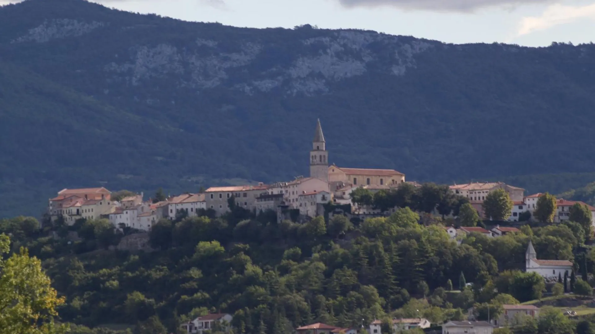 Holiday home Holiday House With A Swimming Pool Buzet, Central Istria - Sredisnja Istra - 22842